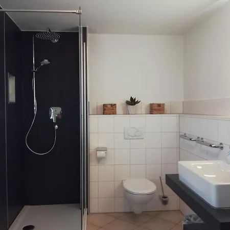 Lizzi Mountain Apartments Apartment *